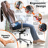 BLACK+DECKER Memory Foam Lumbar Support Pillow, Lumbar Cushion for Office, Car, Wheelchair & Airplane Adjustable Strap