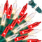 LAMPHOME Red Clear Valentine's String Lights 100 Mini Incandescent Fairy Light Decor