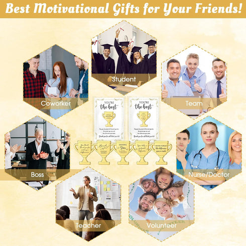 Juinte 60 Sets (10 Employee Appreciation Gifts Bulk Trophy Pins with Thank You Cards Organza Bags Inspirational