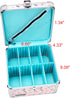 Vaultz Portable Safe Box, 10 x 10 x 6.5 Inch Large Storage Box with Lock, Mesh Pocket & Compartments