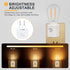 1W 2700K, 10-100LM 1-Pack Warm Night Lights Plug into Wall Motion Sensor, LED Night Light, Adjustable Brightness