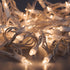 612 100 18 20 (Pack 2) Vermont Clear Christmas Lights on White Wire, UL Approved for Indoor/Outdoor Use, Foot