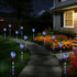 Huacenmy 6 Pack Bulb Solar Lights Outdoor Garden Decorative Waterproof Lights Outside Solar Pathway Lights for Garden