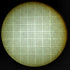 Improved Neubauer Hemocytometer - Cell Counting Chamber with Bright Line