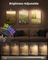 2 Pack 3 360 Dimmable Wall Mounted Lights, Rechargeable RGB Color Changing Light, Color Temps & Remote and Touch