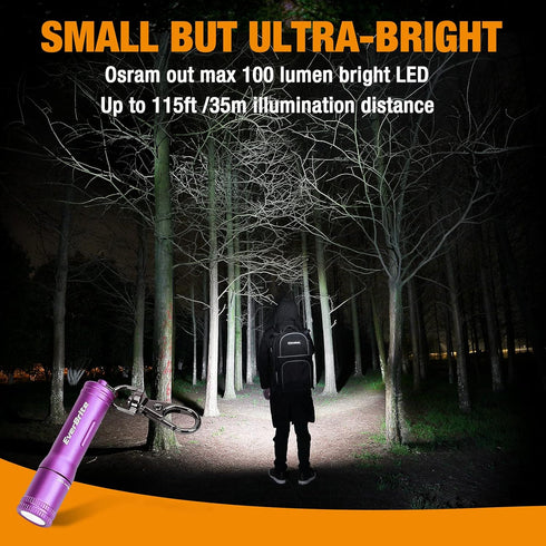 EverBrite Mini Keychain LED Flashlight, Portable Pocket Torch for EDC, Camping, Emergency