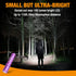 EverBrite Mini Keychain LED Flashlight, Portable Pocket Torch for EDC, Camping, Emergency