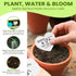 50 2.5in 2in Plantable Seed Paper Hearts with Wildflower Seeds- A Thank You Card That Grows | A Memorable Gift Tag That