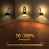 3000K Briignite Night Lights Plug into Wall, Gothic Night Light Vintage Style, Adjustbale Brightness, LED Warm White