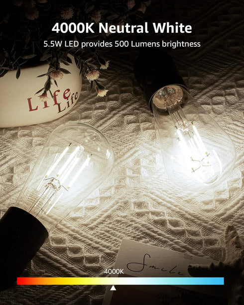 Lepro Dimmable LED Edison Bulbs, 4000K Neutral White, 5.5W, 60 Watt Equivalent, E26 Light Bulbs, Medium Base ST19,