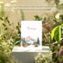 Thank You Cards Set of 20,4x6 Inches Watercolor Nature Forest Thank You Cards with Envelopes, Perfect Thank You Cards Bulk For All Occasions,incl. Baby Shower, Wedding, Birthday Party, Greeting by slapaflife