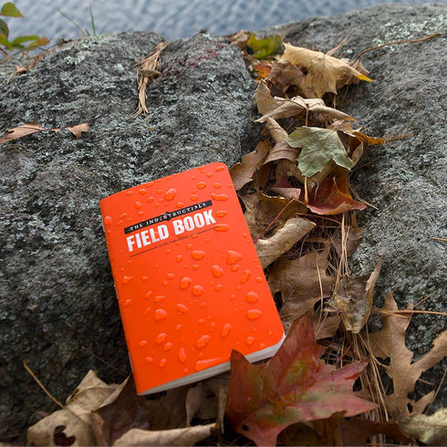 Elan Publishing Company Field Notebook, Indestructible 3.5 by 5.5 in, Orange, Pack of 4