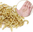 Biaungdo 100 Pcs 1/2" Ceiling Cups Hooks, Gold Screw Hooks with Self-Tapping Screws