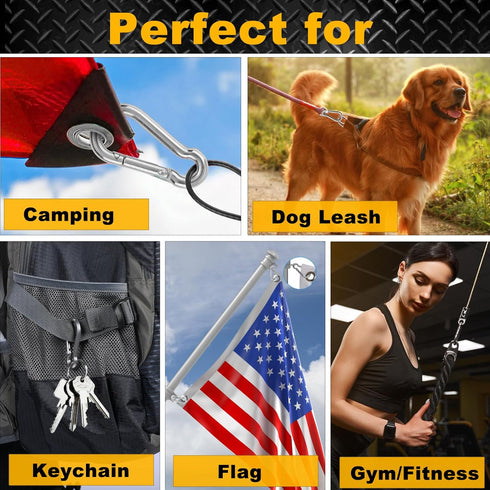 12 Pcs Small Carabiner Clip - Stainless Steel Spring Snap Hook for Dog Leash & Harness, Holds 150lbs (M4, 40mm)
