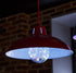 81177 G25 Bulb, 1.5 (E26) Dimmable, 1 Count Sunlite Globe LED Fairy-Lights Inside, Watts, Medium Base, Non Party