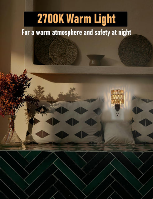 2-Pack 0.5W Boho Plug in Night Light with Switch, Farmhouse LED Night Lights Plug into Wall Socket, Baby Nursery