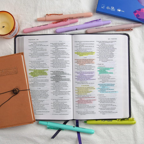 WRITECH Retractable Bible Highlighters, 12 Pack Pastel Colors No Bleed Aesthetic Marker Pen