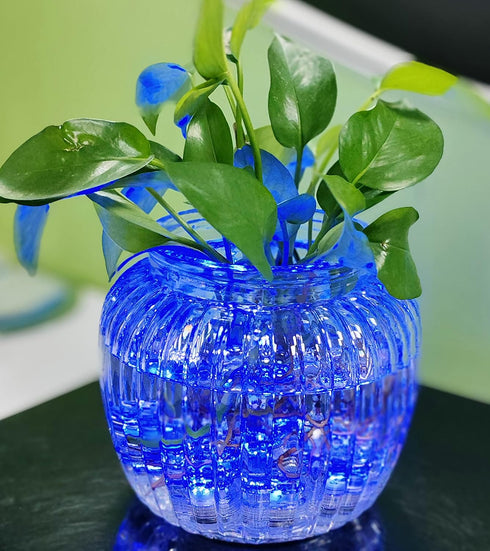 Bright LED Battery Operated Flameless Tea Light, Waterproof Submersible Candle for Party & Wedding, Pack of 12 (Blue)