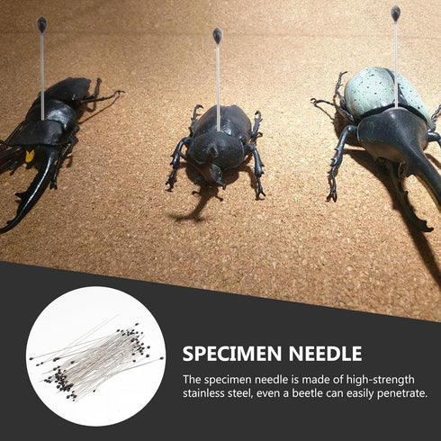 Tools Stainless Steel | Sizes 00, 0 | 100 of Each Size | Sturdy Storage Containers for Entomology, Dissection