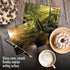 The Best Card Company - 20 Blank Landscape Nature Note Cards (4 x 5.12 Inch) - 10 Designs, 2 Each - Shining Through