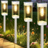 Solar Pathway Lights 8 Pack Solar Outdoor Lights with LED Tungsten Filament