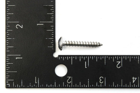 40 Piece Truss Head Screw Set, Marine Grade Stainless Steel, 10 x 1-1/4 Inches for Dock Bumper