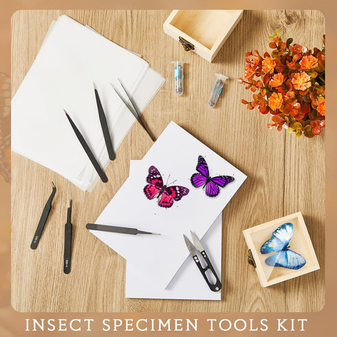 55 3.54 3.54 1.77 8 6 3 6 Spiareal Pcs Insect Specimen Tools Kit Include x x in Pcs Display Case Box Foam Pinning Board