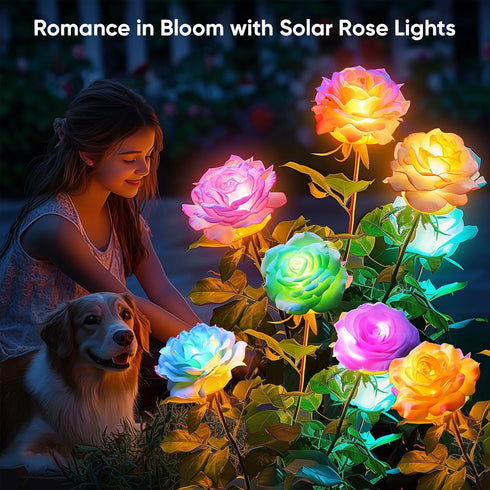4 Pack IP65 7-Color 10H+ Solar Rose Lights Outdoor: Waterproof Changing LED Flower Stakes for Garden Pathway Patio Lawn