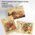 Current Harvest Thanksgiving Greeting Cards Set, 6 Large 5 x 7-Inch Cards, Assortment of 3 Unique Designs