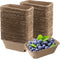 TAICHEUT 100 Pack Natural Pulp Fiber Berry Basket, Bulk Produce Berry Basket Pulp