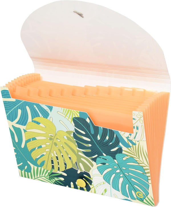 CNK File Folders Organizer - 13 Pockets Accordion Expanding Folder for Documents, Receipt Filing with Labels