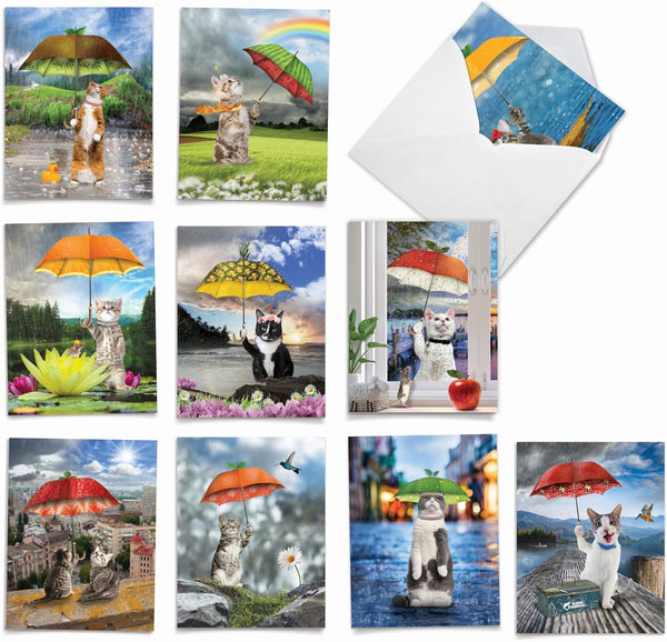The Best Card Company - 10 All Occasion Blank Cat Cards (4 x 5.12 Inch) Cute Assorted Bulk Set