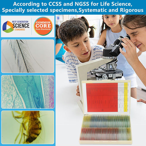 DIY-SCIENCE 120 Set, Microscope Slides with Specimens Lab-Grade Prepared Microscope Slides for Kids Adults