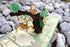 Monkey Pop Up Card, Blank 3D Monkey Card, Jungle Gift for Kids, Happy Birthday Card, Monkey Lover Card
