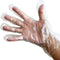 KingSeal Light Duty Poly Disposable Gloves, Powder-Free, Latex-Free, Size Small, 1 Box of 500