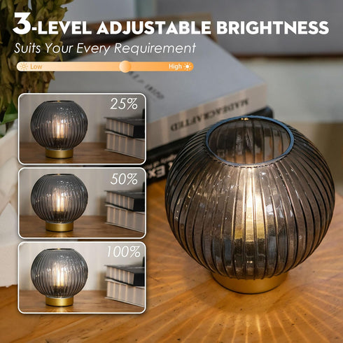 Battery Operated Lamp with Remote Control for Table Decor,Small Cordless Table Lamps with Timer&Replaceable LED