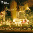 weillsnow 164 500 8 FT LED Christmas Lights Outdoor, Waterproof Christmas Fairy Lights with Timer, Plug in Warm White