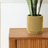 Removable paint, Peelable, Biodegradable, Yellow, Matte, Ultra Low VOC, Interior Paint, Gallon, Quart, Yellow Wheat