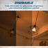 A21 Bulb 100W E26 1025 2700K Bulb Pack 2 OHLECTRIC Half Chrome Light with Base and Lumens of Brightness | Warm White