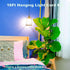 16Ft E26/E27 Bulb 1 Pack, Plug in Hanging Light Cord Kit - Pendant Light Plug in Lamp Kit, Socket Lantern Extension
