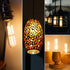 6W Dimmable T10 5inch Bulb E26 Bulb 60 Bulb AC120V 2700K 600LM 4Pack LED Light Equal watt Long Led Light Warm White