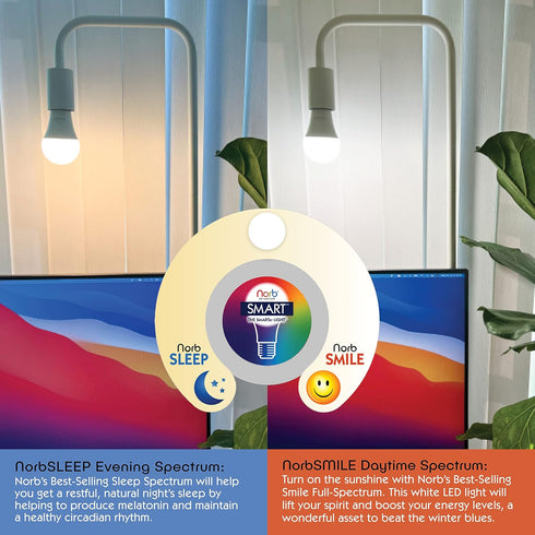 NorbSMART Smart Light Bulb LED, 1-Pack, Color Changing, 9W, A19, E26, Dimmable, Works with Alexa & Google Home