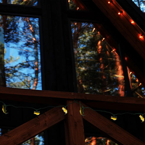 10 Bulbs, 10 2 Bulbs, Rivers Edge Products Decorative LED Party Lights for Indoor and Outdoor Use, Warm, Soft Lighting