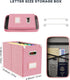 Oterri File Organizer Box with Lid, Hanging Filing File Box with Mesh Pocket, Document Organizer Box for Letter Files, Portable Storage Box with Smooth Sliding Rail for Office&Home (1 PCS, Pink) by Oterri