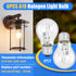 6-PCS A19 Bulb, 43 120V E26 60W Bulbs Halogen Light Watt Base, Replacement Non-LED for Table Lamps & Home Lighting