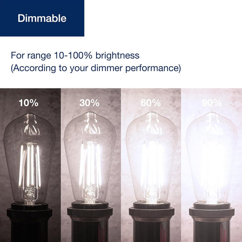 FLSNT 7W LED Edison Bulbs, 60W Equivalent, 4000K Cool White, 800LM, E26 Base, Dimmable, 6 Pack