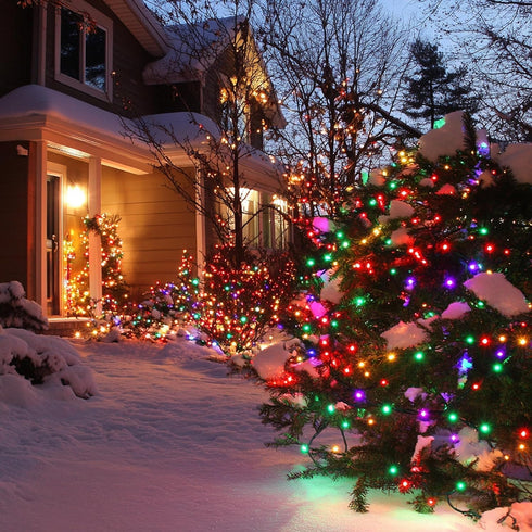 66 200 TW SHINE Color Changing Christmas Lights, FT LED Warm White and RGB Halloween Lights with Remote Waterproof