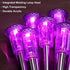DenicMic 10 Pack Solar Lights Outdoor Waterproof Purple LED Stainless Steel Stake Outside Lights for Yard Pathway