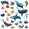 Fulmoon 62 Pcs Realistic Sea Ocean Animal Bulletin Board Decor, Sharks, Whales, Turtles Cutouts for Classroom