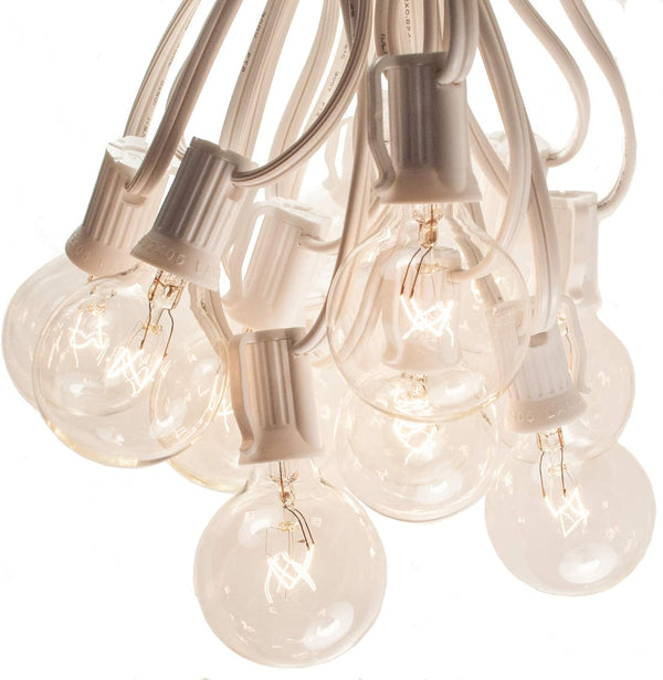 Hometown Evolution, Inc. 10 Foot Globe String Lights (10 Foot, G40 Clear